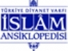 islam ansiklopedisi